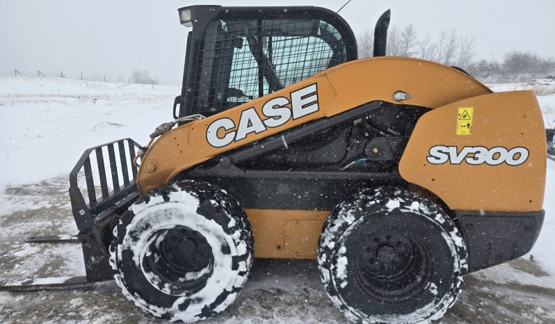 2019 Case SV300 full