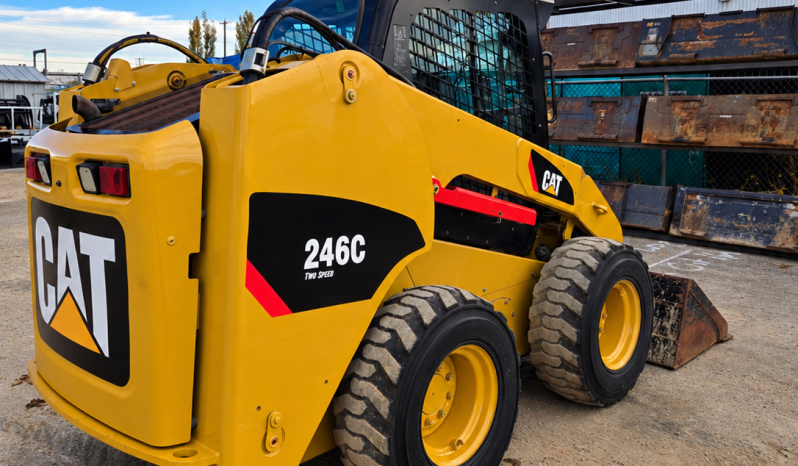 2014 Caterpillar 246C full